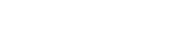 Euro Digital Technologies L.L.C.